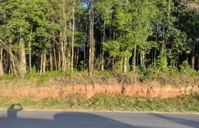 Chácara de frente para o asfalto, próximo a estrada da ribeira