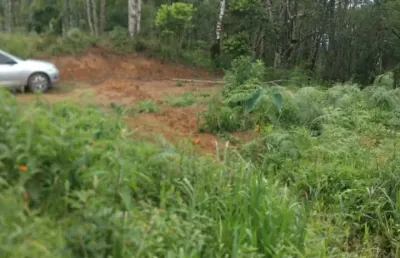 Chácara em campina grande do sul, 100 metros da br 116