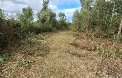 Chácara 3 km do asfalto com rio/ campina grande do sul