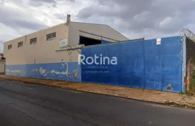 Galpão à venda, custódio pereira - uberlândia/mg - rotina imobiliária