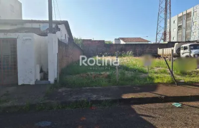 Terreno à venda, santa mônica - uberlândia/mg - rotina imobiliária