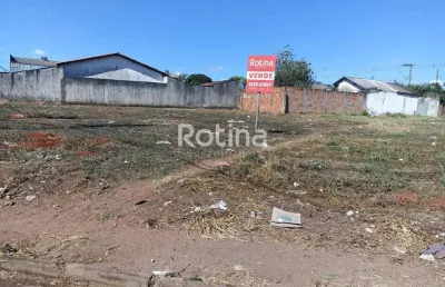 Terreno à venda, jardim patrícia - uberlândia/mg - rotina imobiliária