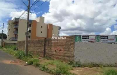 Área à venda, brasil - uberlândia/mg - rotina imobiliária