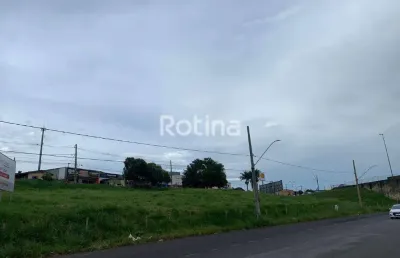 Área à venda, jardim brasília - uberlândia/mg - rotina imobiliária