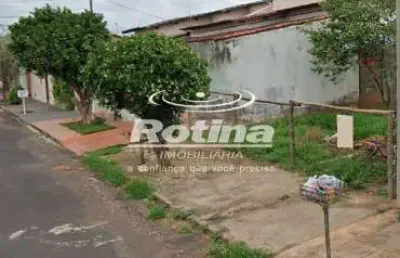 Terreno à venda, cidade jardim - uberlândia/mg - rotina imobiliária