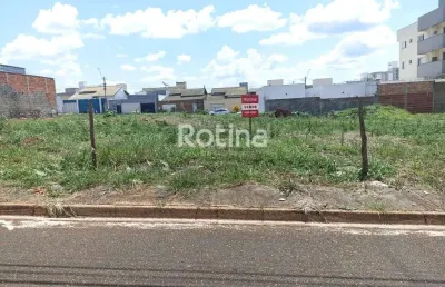 Terreno à venda, jardim brasília - uberlândia/mg - rotina imobiliária