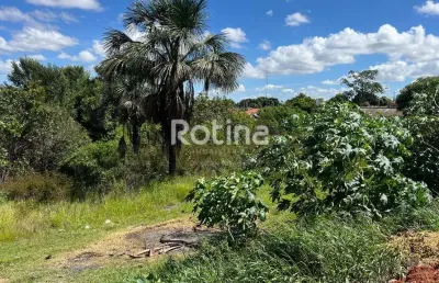Terreno à venda, nossa senhora das graças - uberlândia/mg - rotina imobiliária