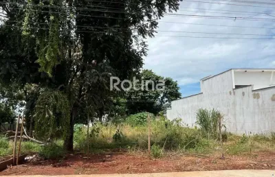 Terreno à venda, cidade jardim - uberlândia/mg - rotina imobiliária