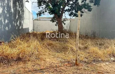 Terreno à venda, aclimação - uberlândia/mg - rotina imobiliária