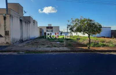 Terreno à venda, santa rosa - uberlândia/mg - rotina imobiliária