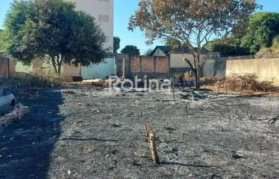 Área à venda, presidente roosevelt - uberlândia/mg - rotina imobiliária
