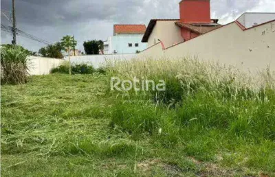 Terreno à venda, jardim colina - uberlândia/mg - rotina imobiliária