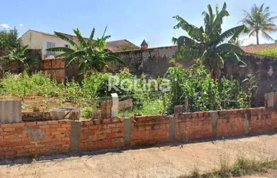 Terreno à venda, jardim patrícia - uberlândia/mg - rotina imobiliária