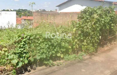Terreno à venda, jardim patrícia - uberlândia/mg - rotina imobiliária