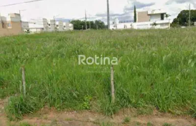 Terreno à venda, vigilato pereira - uberlândia/mg - rotina imobiliária