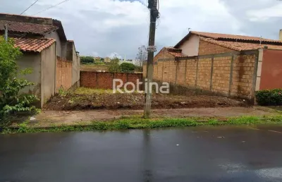 Terreno à venda, jardim patrícia - uberlândia/mg - rotina imobiliária