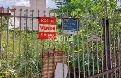 Terreno à venda, santa mônica - uberlândia/mg - rotina imobiliária