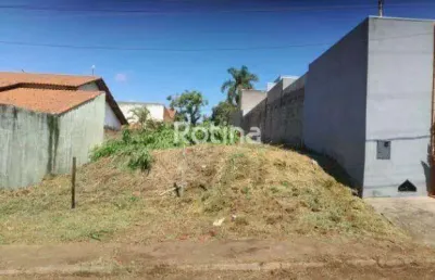 Terreno à venda, cidade jardim - uberlândia/mg - rotina imobiliária
