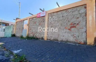Terreno à venda, osvaldo rezende - uberlândia/mg - rotina imobiliária