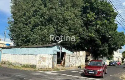 Terreno à venda, martins - uberlândia/mg - rotina imobiliária