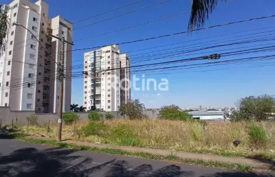 Área à venda, santa mônica - uberlândia/mg - rotina imobiliária