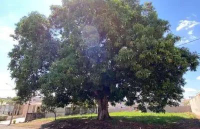 Terreno em condomínio para venda em limeira, portal de sao clemente