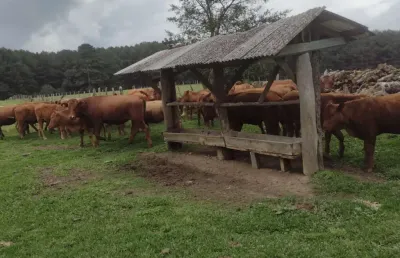 Chácara / sítio à venda na rodovia do xisto, 476, passa dois, lapa, 145200 m2 por r$ 3.500.000