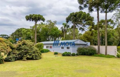 Chácara a venda  5.000,00m2, na região urbana da borda  do campo, casa 170,00m2, casa de hospede e barracão.