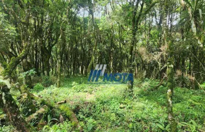 Terreno à venda na Área Rural de Fazenda Rio Grande, Fazenda Rio Grande 