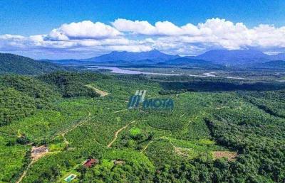 Fazenda ideal para resort, hotel fazenda, turismo e demais empreendimentos, com 349,1 hectaresatualmente formada com plantação de bananas e palmitos