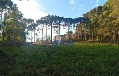 Chácara / sítio à venda na Rua José Martinez Cano, Planta Granjas Eldorado, Piraquara