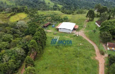 Fazenda a venda campo largo com 76 hectares, com casa sede, barracão, formada em pastagem e eucaliptos.