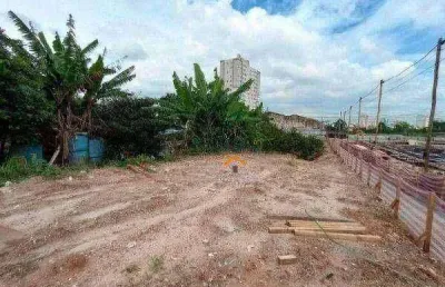 Terreno para alugar, 4170 m² por r$ 30.200,00/mês - jardim jamaica - santo andré/sp