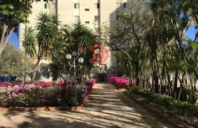 Apartamento com 3 quartos à venda na Vila Granada, São Paulo 