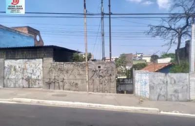 Terreno à venda no Parque das Paineiras, São Paulo 