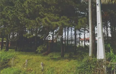 Terreno à venda, são joão do rio vermelho - florianópolis/sc