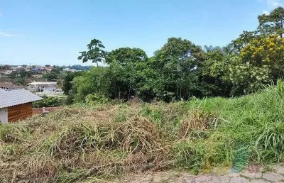 Terreno à venda, 368 m²  - acaraí - são francisco do sul/sc