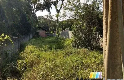 Terreno à venda, 780 m²  - paulas - são francisco do sul/sc