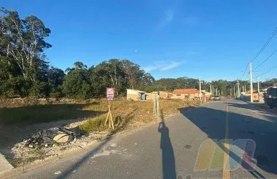 Terreno à venda, 250 m²  - praia de ubatuba - são francisco do sul/sc