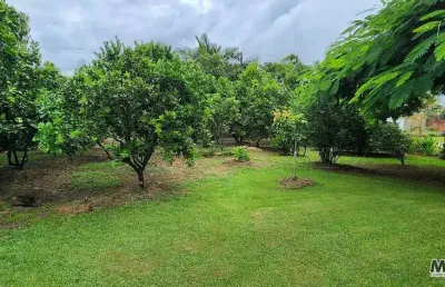 Chácara / sítio com 3 quartos à venda na Rua Binot Palmier De Goneville, Tapera, São Francisco do Sul