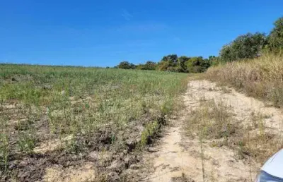 Sítio com 1 dormitório à venda, 20000 m² por r$ 450.000,00 - area rural - cosmópolis/sp
