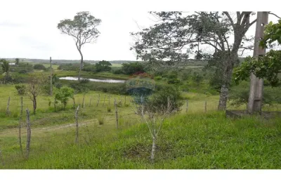 Fazenda à venda na Rua Da Palha Reta Tabajara, 001, Lagoa do Sítio II, Macaíba