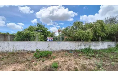 Vendo terreno com localização ideal em pium: 2000m², oportunidade única' 15 minutos da praia cotovelo.