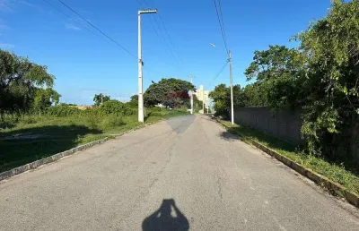 Oportunidade de investimento vizinho ao maior cajueiro do mundo