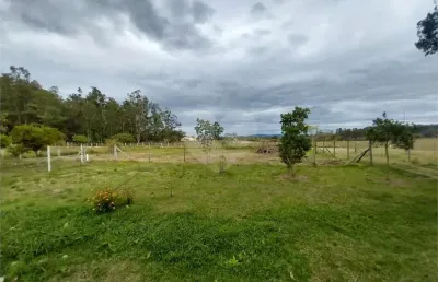Terreno à venda na Rodovia Presidente Castelo Branco, Centro, Porangaba