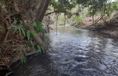 Chácara / sítio à venda na Rodovia Df- 140 Km 11, 16/17/18, Jardim Botânico (Lago Sul), Brasília