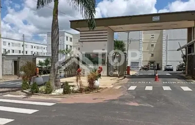 Apartamento com 2 quartos à venda no Parque Fehr, São Carlos 