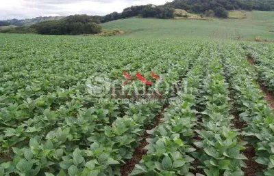 Fazenda à venda em apucarana, parque industrial zona oeste, com 1 quarto, com 2819300 m²