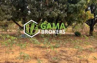 Vendo lote no pedregal novo gama- go situado no vale das andorinhas zona rural, próximo do loteamento do green ville