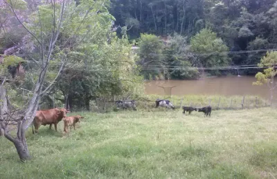 Fazenda à venda no Três Barras, Senador José Bento 